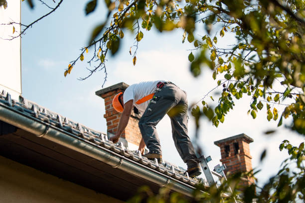 Best Metal Roofing Contractor  in Lake Vla, IL