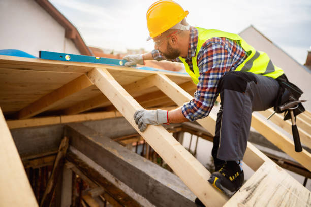 Best Storm Damage Roof Repair  in Lake Vla, IL